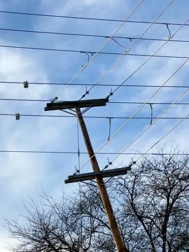 Threads of connection under a vast winter sky.